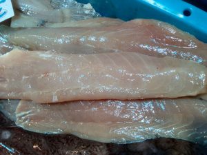 llisa, peix directe de la Llotja de Vilanova i la Geltrú
